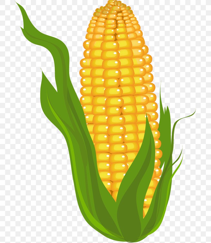 Candy Corn Corn On The Cob Maize Clip Art, PNG, 705x945px, Candy Corn, Commodity, Corn On The Cob, Corncob, Drawing Download Free