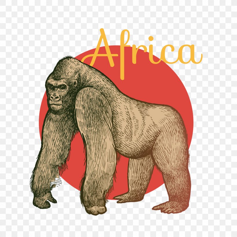 Gorilla Orangutan Cheetah Hyena, PNG, 1000x1000px, Gorilla, Animal, Carnivoran, Cheetah, Drawing Download Free