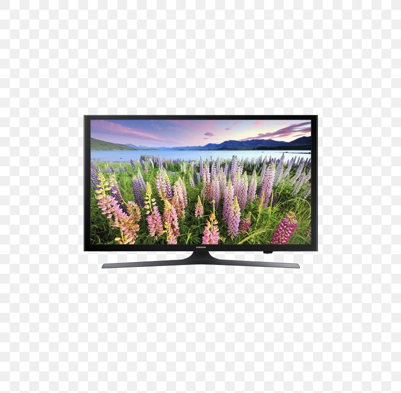 High-definition Television LED-backlit LCD Samsung 1080p Smart TV, PNG, 519x804px, Highdefinition Television, Display Device, Ecosystem, Flat Panel Display, Flora Download Free