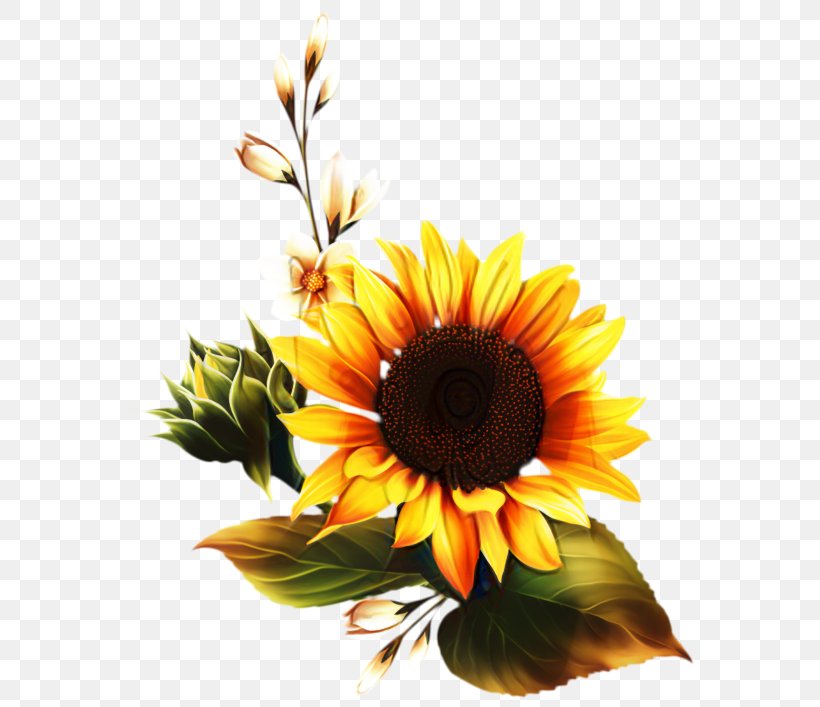 Bouquet Of Flowers Drawing, PNG, 599x707px, Common Sunflower, Annual Plant, Artificial Flower, Asterales, Bouquet Download Free