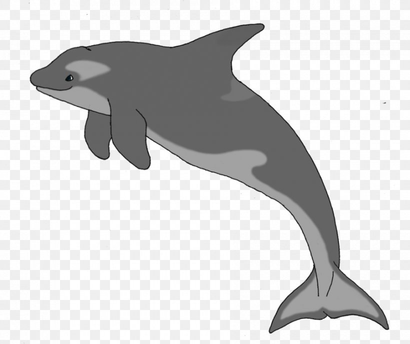 Common Bottlenose Dolphin Short-beaked Common Dolphin Tucuxi Rough-toothed Dolphin White-beaked Dolphin, PNG, 900x756px, Common Bottlenose Dolphin, Art, Black And White, Bottlenose Dolphin, Cetacea Download Free