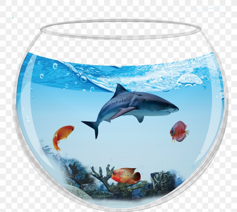 Dolphin Shark Aquarium Fish, PNG, 2000x1783px, Dolphin, Activated Carbon, Aquarium, Art, Bony Fish Download Free