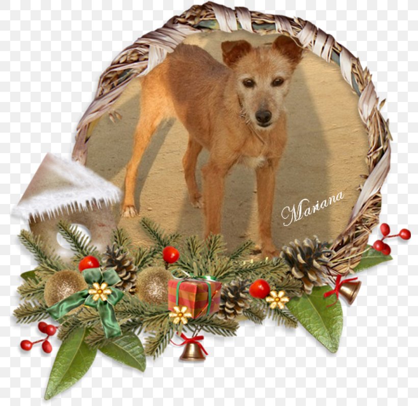 Sichuan Cuisine Dog Breed GIMP, PNG, 792x796px, Sichuan Cuisine, Carnivoran, Christmas, Christmas Decoration, Christmas Ornament Download Free