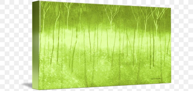 Gallery Wrap Canvas Koi Leaf Rectangle, PNG, 650x389px, Gallery Wrap, Canvas, Grass, Grass Family, Green Download Free