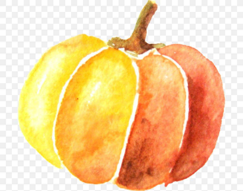 Pumpkin Watercolor Painting, PNG, 700x643px, Pumpkin, Apple, Cartoon, Drawing, Food Download Free