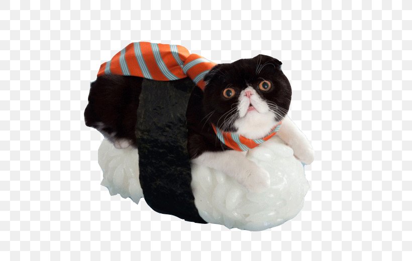 Sushi Cat Japanese Cuisine California Roll Kitten, PNG, 542x520px, Sushi, California Roll, Cat, Cat Like Mammal, Felinae Download Free