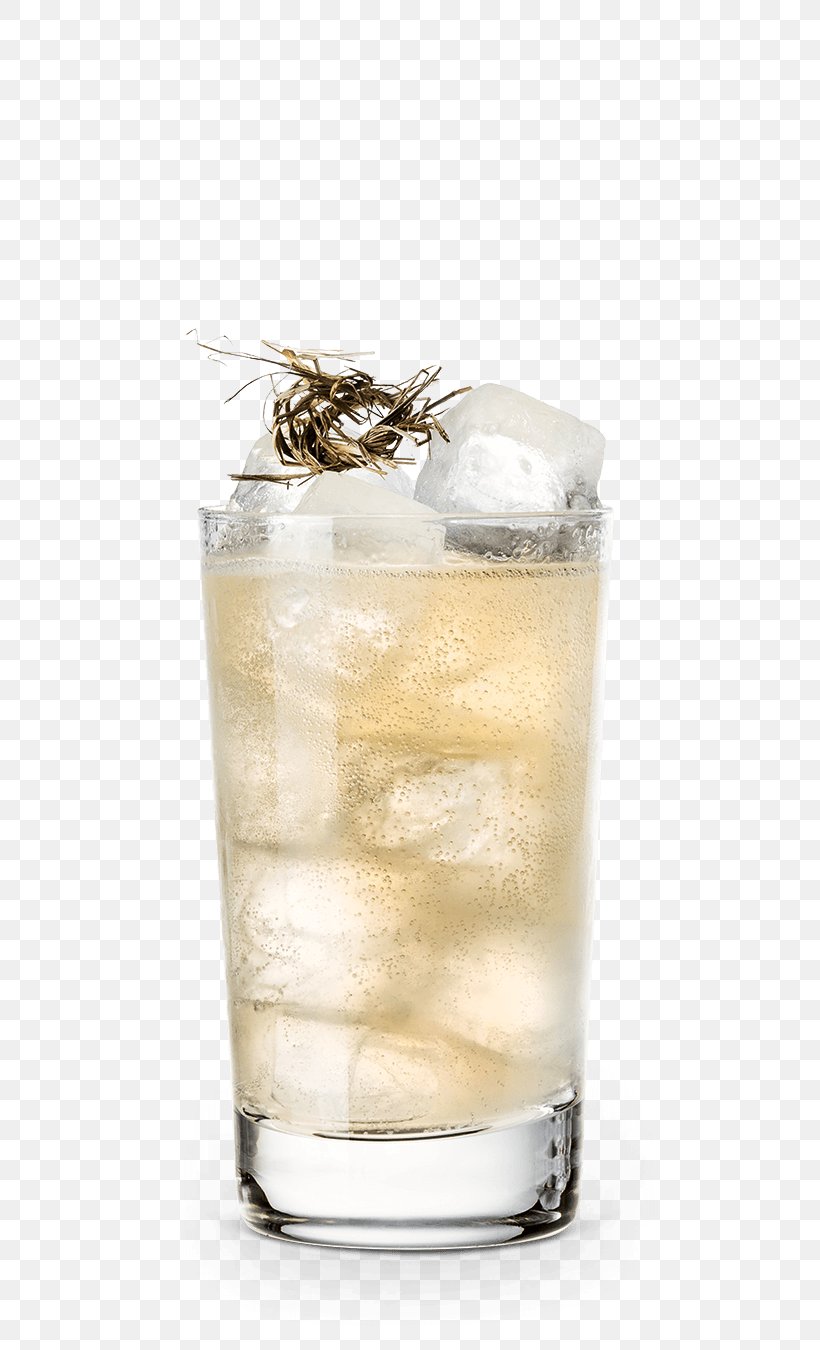 Gin And Tonic Highball Black Russian Sea Breeze Cocktail Garnish, PNG, 600x1350px, Gin And Tonic, Black Russian, Cocktail, Cocktail Garnish, Drink Download Free