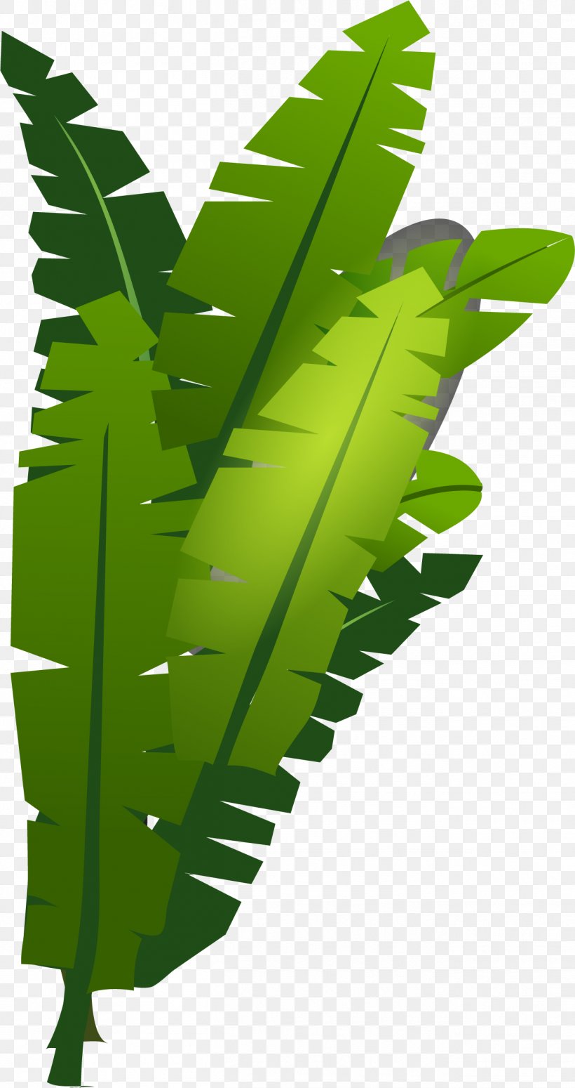 Vector Graphics Illustration Image Royalty-free Stock Photography, PNG, 1309x2473px, Royaltyfree, Botany, Fern, Flower, Green Download Free