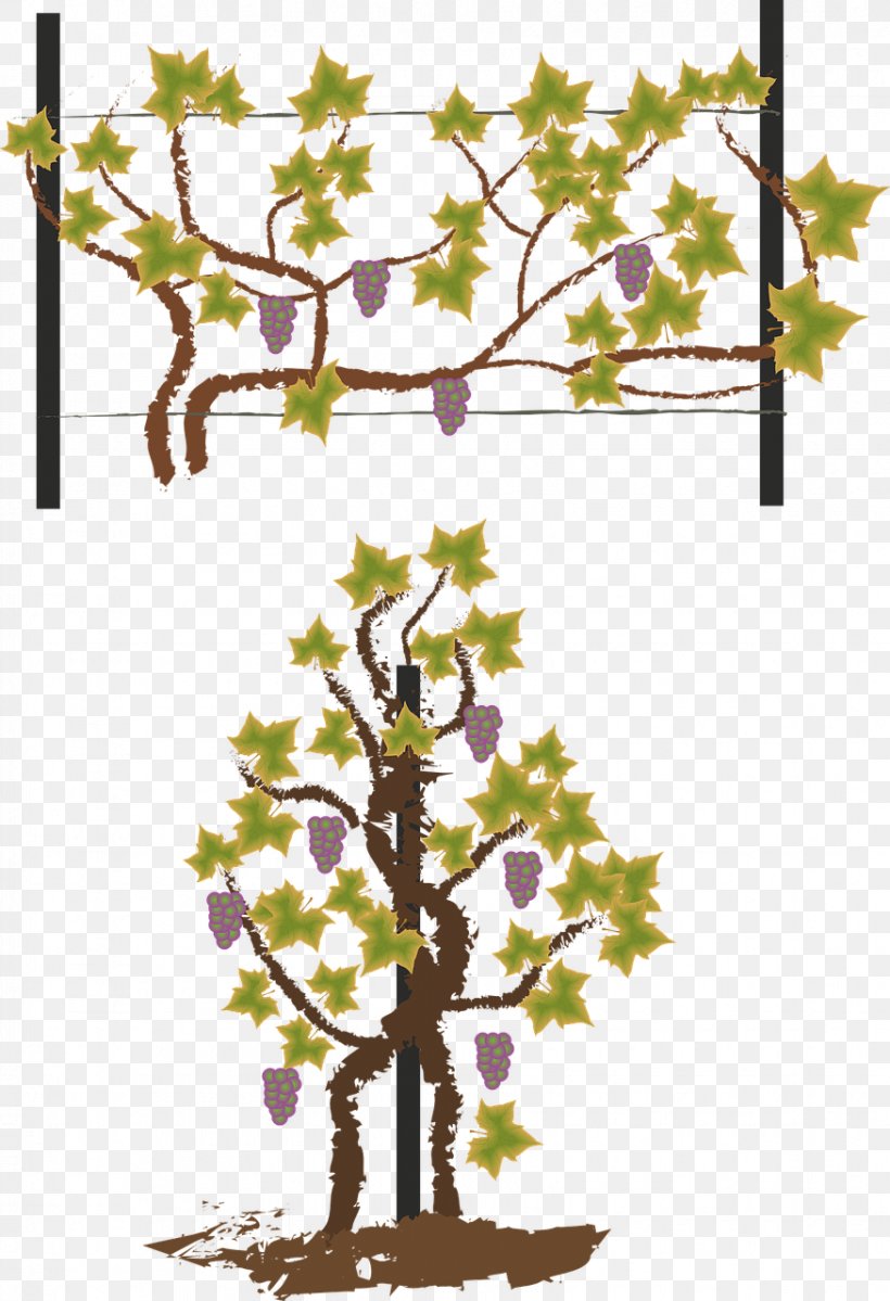 Wine Cooler Vine, PNG, 875x1280px, Wine Cooler, Branch, Fence, Flora, Floral Design Download Free