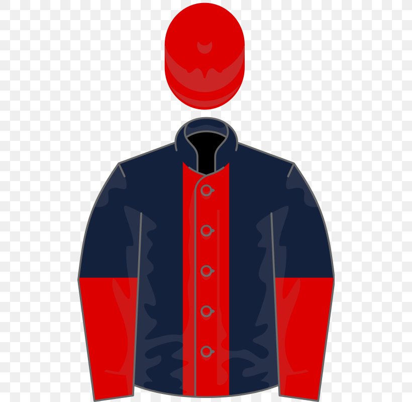 2017 Melbourne Cup Rekindling Thoroughbred Wikipedia Foal, PNG, 512x799px, Rekindling, Electric Blue, Foal, Horse Racing, Jacket Download Free