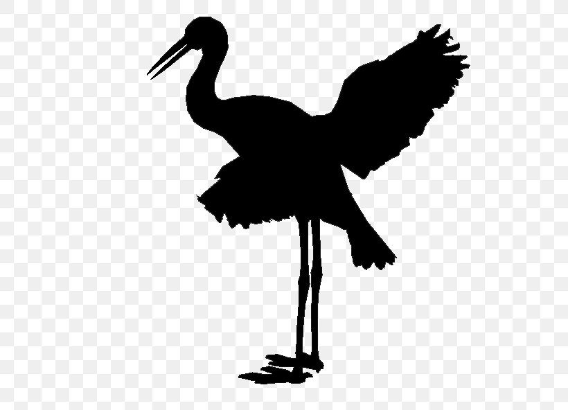 Cygnini Stork Goose Bird Duck, PNG, 558x592px, Cygnini, Art, Beak, Bird, Black Stork Download Free