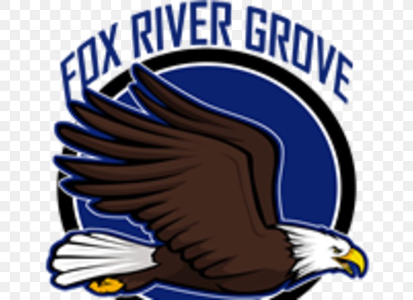 Fox River Grove School District 3 Cary-Grove High School Lake Barrington Algonquin American Freestyle Martial Arts Team Jensen, PNG, 800x596px, Carygrove High School, Algonquin, Beak, Bird, Bird Of Prey Download Free