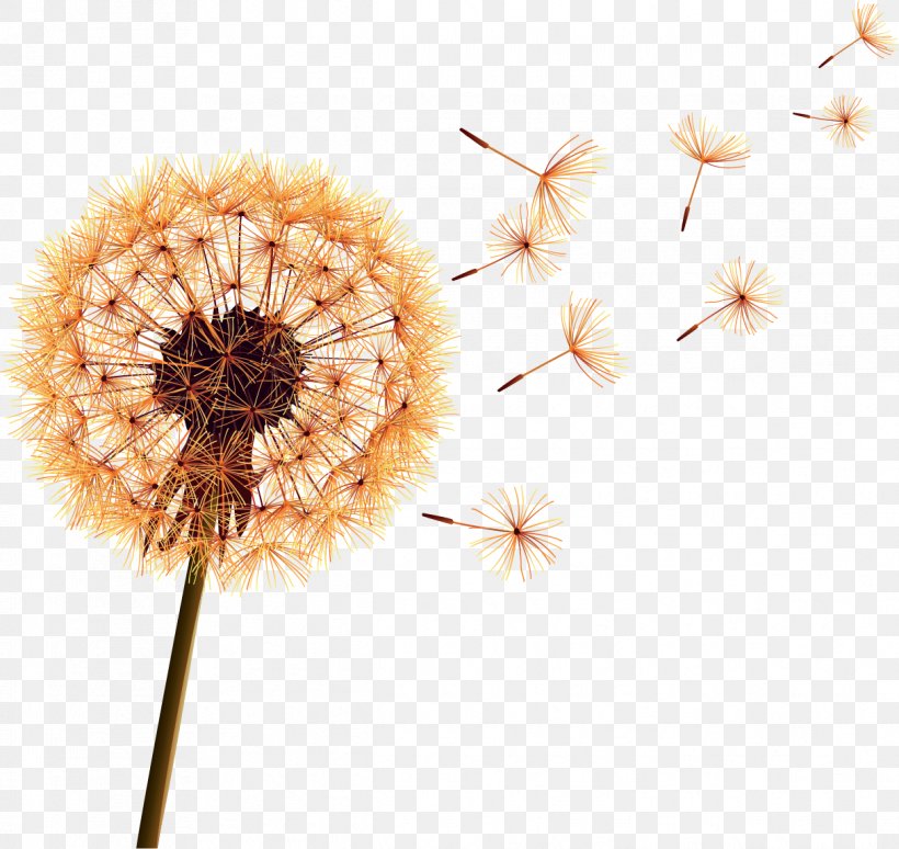 Wallpaper, PNG, 1215x1147px, Royaltyfree, Art, Dandelion, Film, Flower Download Free