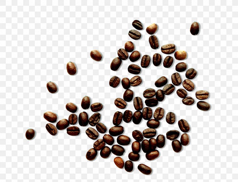 Coffee Bean, PNG, 1315x1010px, Coffee, Bean, Caffeine, Coffee Bean, Coffee Cup Download Free
