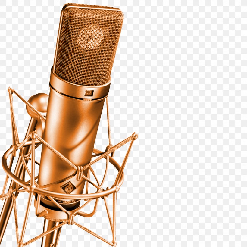 Microphone Georg Neumann Audio Recording Studio Sound, PNG, 1024x1024px, Watercolor, Cartoon, Flower, Frame, Heart Download Free