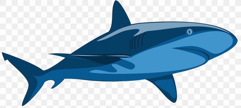 Shark Jaws Whale Shark Clip Art, PNG, 2400x1079px, Shark Jaws, Blue Shark, Cartilaginous Fish, Cobalt Blue, Dolphin Download Free