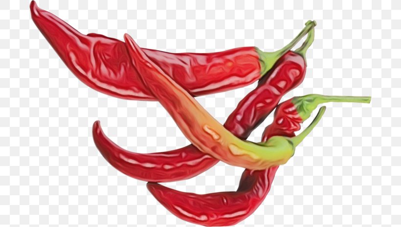 Eye Cartoon, PNG, 700x465px, Bell Pepper, Anthurium, Birds Eye Chili, Capsicum, Cayenne Pepper Download Free