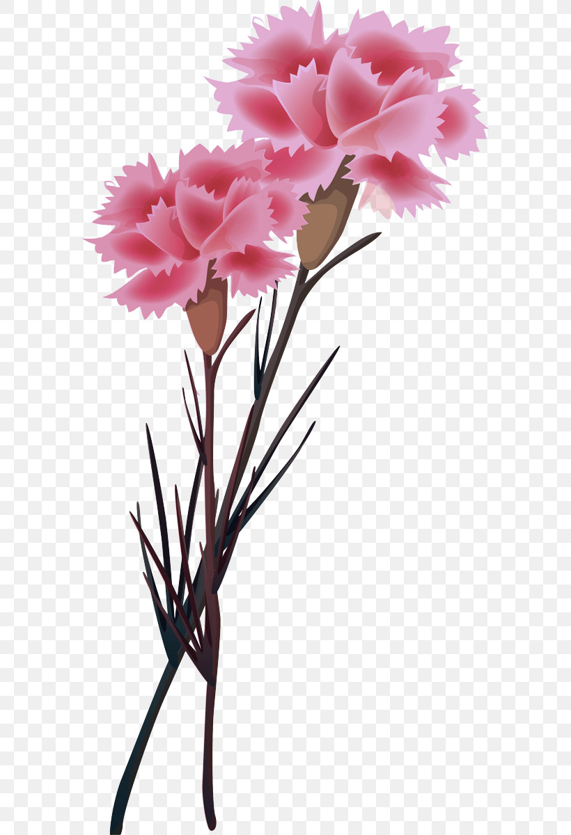 Floral Design, PNG, 586x1200px, Carnation, Biology, Cut Flowers, Floral Design, Flower Download Free