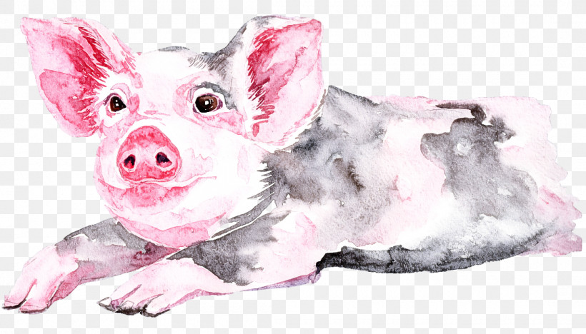 Suidae Pink Snout Drawing Puppy, PNG, 1100x629px, Watercolor Pig, Drawing, Livestock, Pink, Puppy Download Free