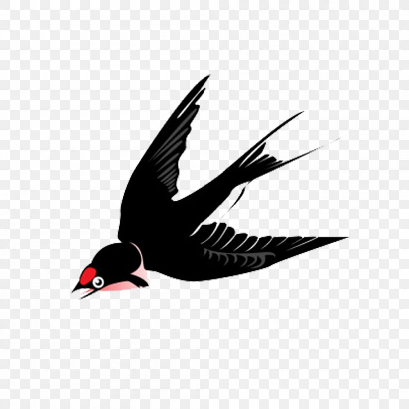 Swallow Bird Photography Illustration, PNG, 1000x1000px, Swallow, Barn Swallow, Beak, Bird, Drawing Download Free