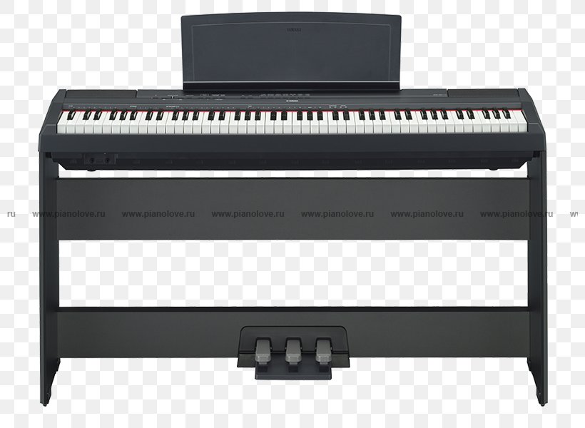 Yamaha P-115 Digital Piano Yamaha Corporation Keyboard, PNG, 800x600px, Watercolor, Cartoon, Flower, Frame, Heart Download Free