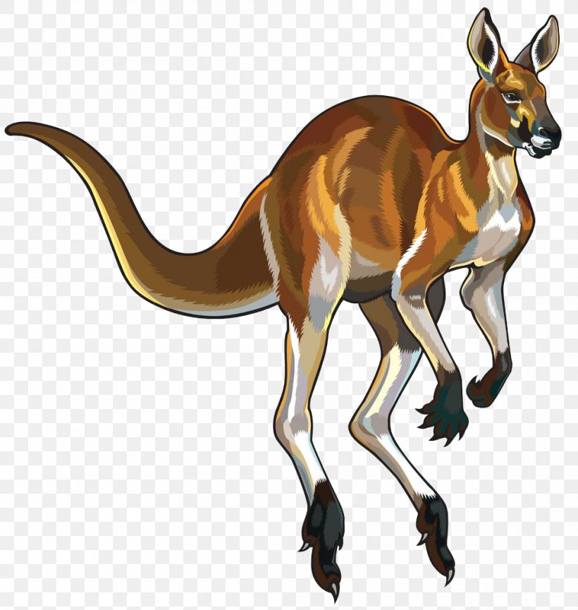 Red Kangaroo Platypus Clip Art, PNG, 1000x1056px, Red Kangaroo, Deer, Eastern Grey Kangaroo, Fauna, Kangaroo Download Free