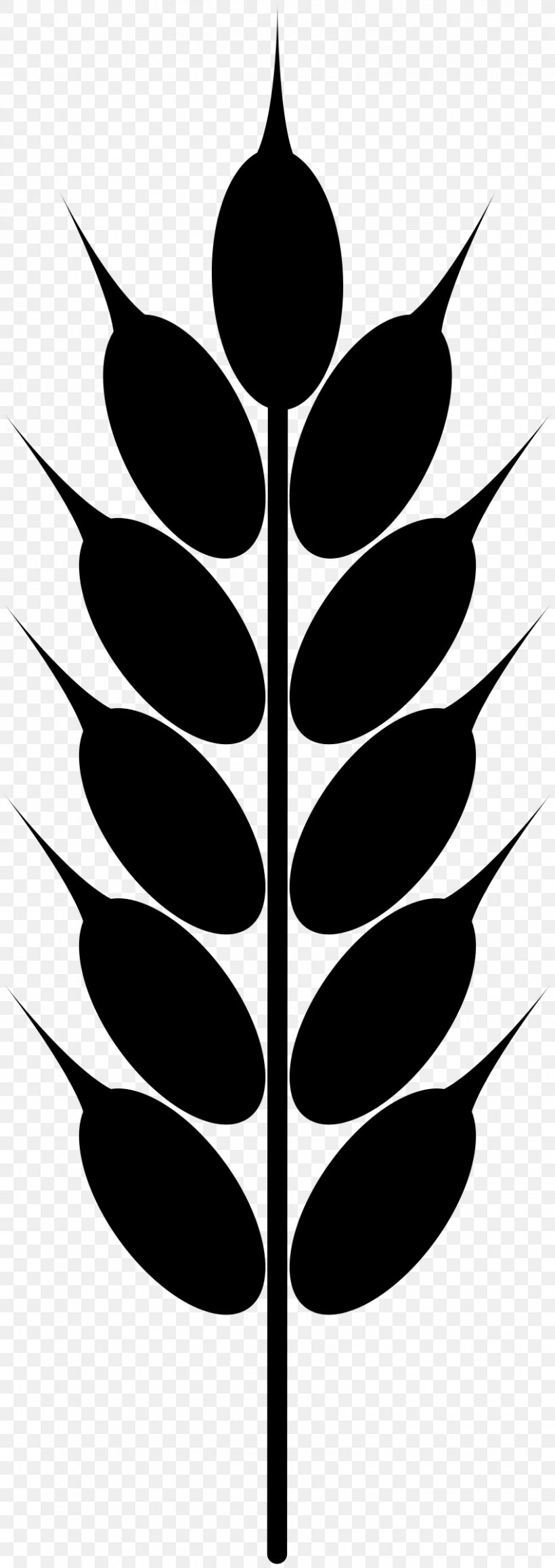 Wheat Grain Clip Art, PNG, 849x2400px, Wheat, Black And White, Branch, Cereal, Drawing Download Free
