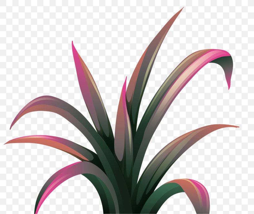 Download Clip Art, PNG, 800x690px, Floral Design, Flora, Floristry, Flower, Flowering Plant Download Free