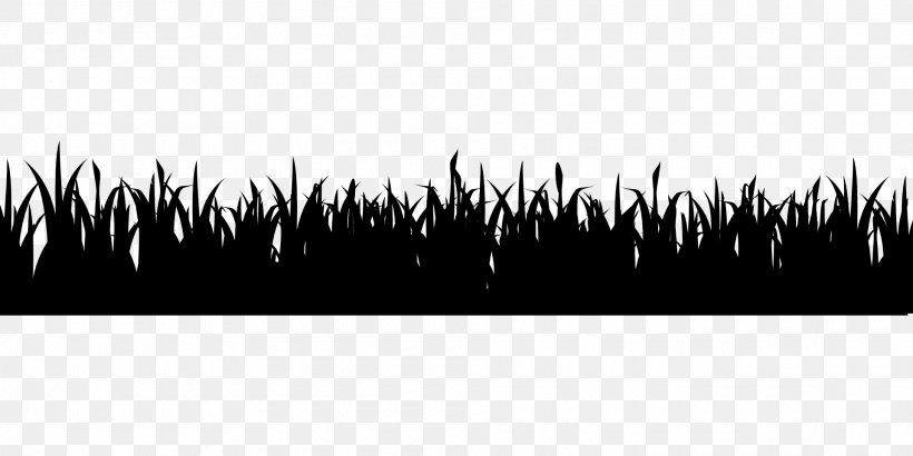 Image Grass, PNG, 1920x960px, Grass, Agriculture, Black, Blackandwhite, Garden Download Free