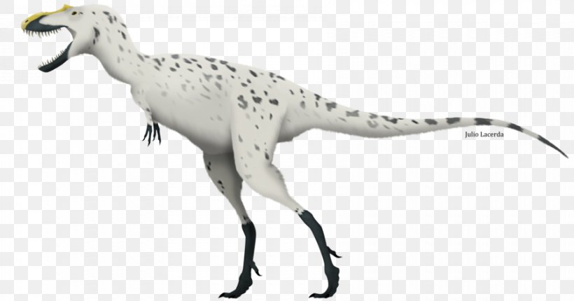 Tyrannosaurus Sinotyrannus Gorgosaurus Aviatyrannis Dryptosaurus, PNG, 900x473px, Tyrannosaurus, Animal, Animal Figure, Aviatyrannis, Beak Download Free