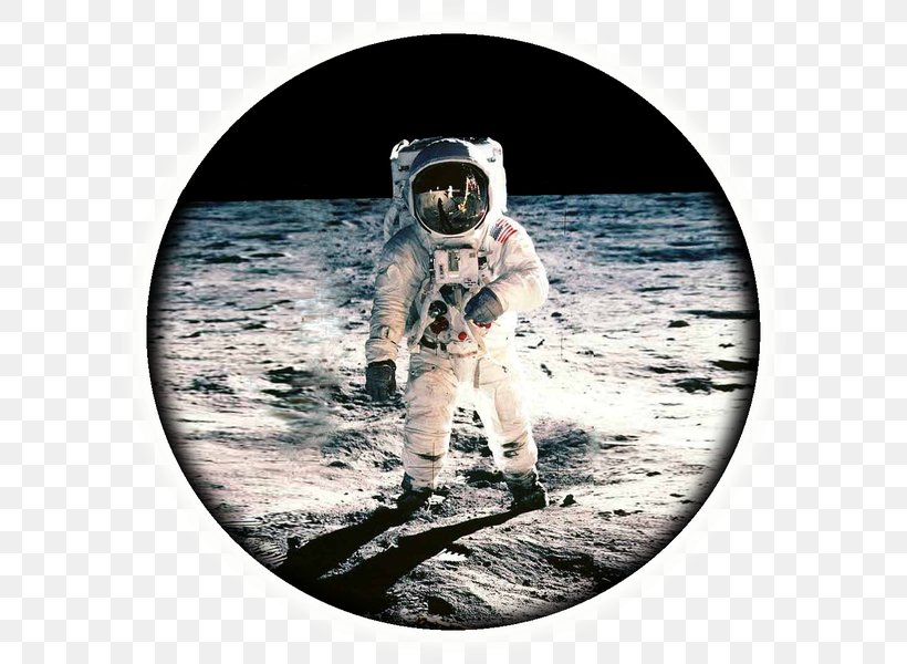 Apollo 11 Apollo Program A Man On The Moon: The Voyages Of The Apollo Astronauts Moon Landing, PNG, 600x600px, Apollo 11, Apollo, Apollo Lunar Module, Apollo Program, Astronaut Download Free