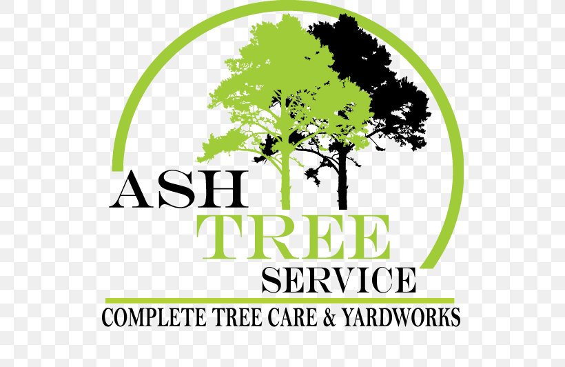 Ash Tree Service Logo Brand, PNG, 526x532px, Tree, Area, Arizona, Ash, Branch Download Free