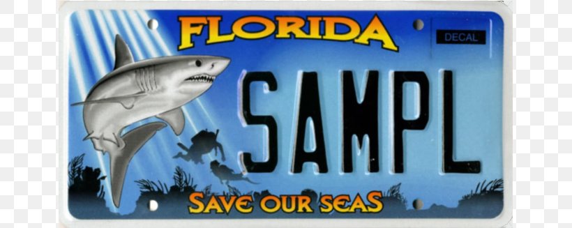 2004 Ford Mustang Vehicle License Plates UPRproducts.com 0 PNG