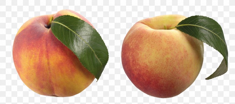 Crisp Fruit Clip Art Peach Nectar, PNG, 1024x457px, Crisp, Apple, Apricot, Charlotte, Food Download Free