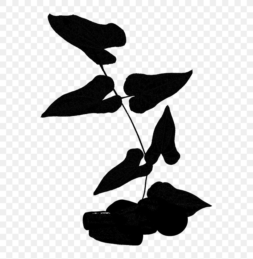Leaf Font Tree, PNG, 595x842px, Leaf, Blackandwhite, Botany, Branch, Flower Download Free