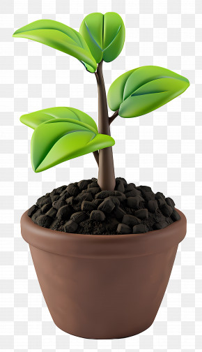 Plant Soil - Young Potted Plant Growing In Soil PNG