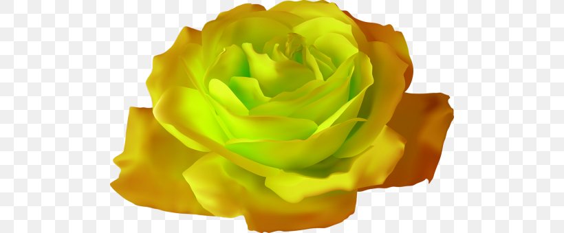 Rose Gardening Clip Art, PNG, 500x339px, Rose Gardening, Blog, Color, Cut Flowers, Flower Download Free