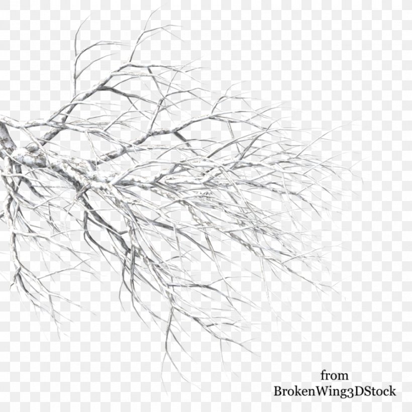 Tree Winter Branch Drawing, PNG, 894x894px, Tree, Artwork, Black And White, Branch, Drawing Download Free