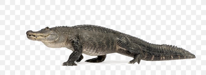 Alligator Turtle Crocodile Poster Wall, PNG, 1100x402px, Alligator, Alphabet, Animal Figure, Art, Carapace Download Free