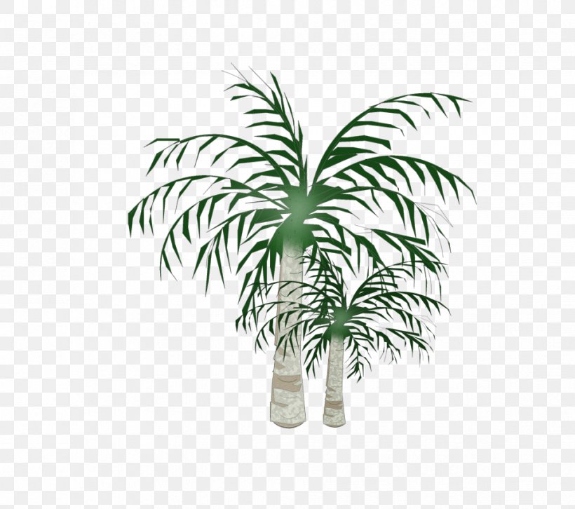 Arecaceae Coconut Plane Tree, PNG, 967x857px, Arecaceae, Arecales, Coconut, Dimension, Flowerpot Download Free