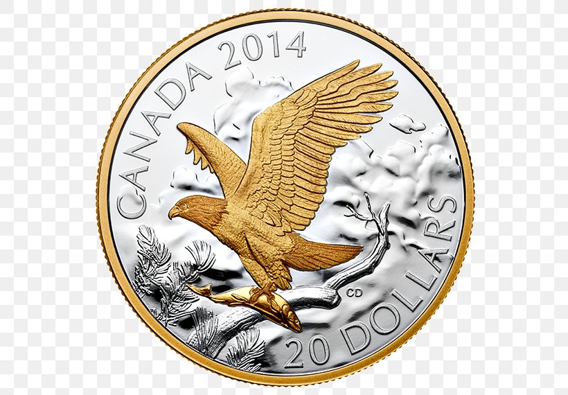 Coin Eagle Gold, PNG, 570x570px, Coin, Bird, Currency, Eagle, Fauna Download Free