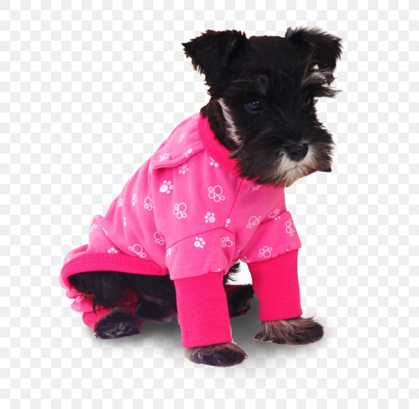 T-shirt Tracksuit Dog Pajamas Clothing, PNG, 800x800px, Tshirt, Cap, Carnivoran, Clothing, Companion Dog Download Free