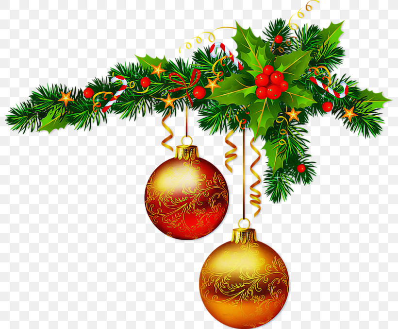 Christmas Decoration, PNG, 800x677px, Christmas Decoration, Branch, Christmas, Christmas Eve, Christmas Ornament Download Free