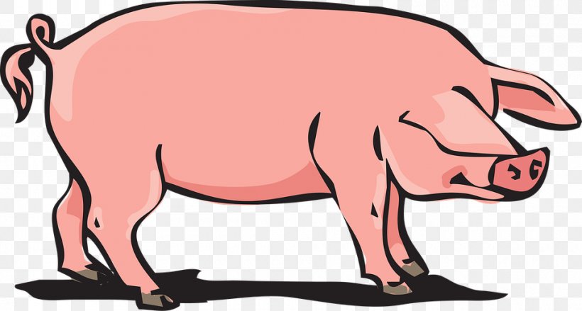 Domestic Pig Clip Art, PNG, 960x515px, Domestic Pig, Animal Figure, Drawing, Feral Pig, Livestock Download Free