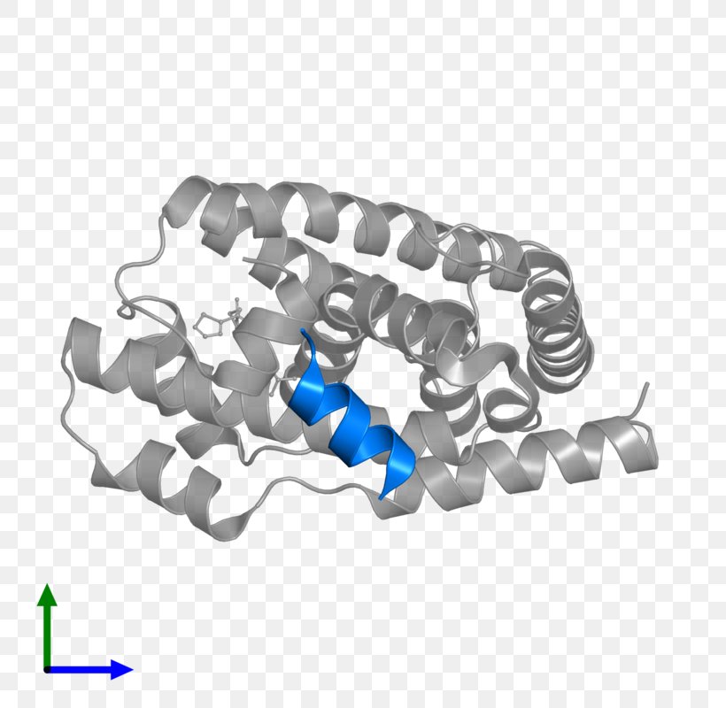 Farnesoid X Receptor Pregnane X Receptor Liver X Receptor, PNG, 800x800px, Farnesoid X Receptor, Acid, Hardware, Hardware Accessory, Liver X Receptor Download Free