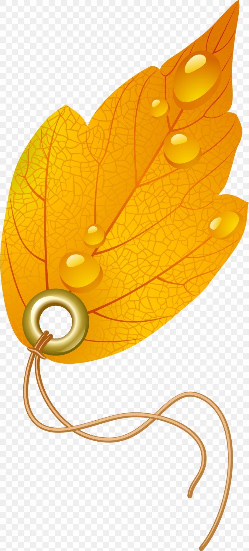Maple Leaf, PNG, 993x2191px, Leaf, Autumn, Green, Maple, Maple Leaf Download Free