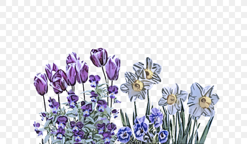 Artificial Flower, PNG, 646x480px, Tulip, Artificial Flower, Daffodil, English Lavender, Flower Download Free