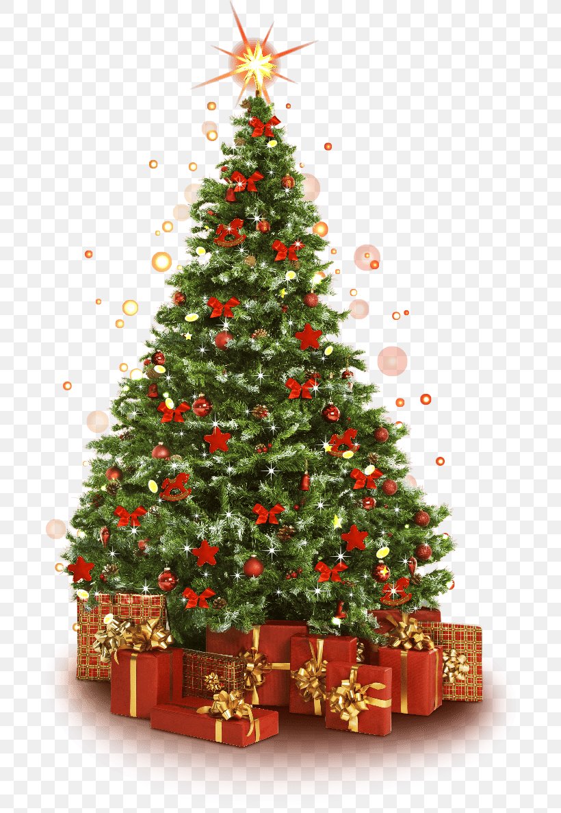 Christmas Tree Christmas Ornament Christmas Decoration, PNG, 704x1187px, Christmas Tree, Christmas, Christmas Decoration, Christmas Ornament, Concept Download Free