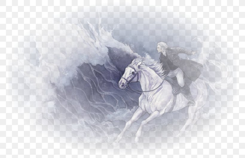 Desktop Wallpaper The Rider On The White Horse Stock Photography Computer, PNG, 764x531px, Stock Photography, Black And White, Computer, Horse, Horse Like Mammal Download Free