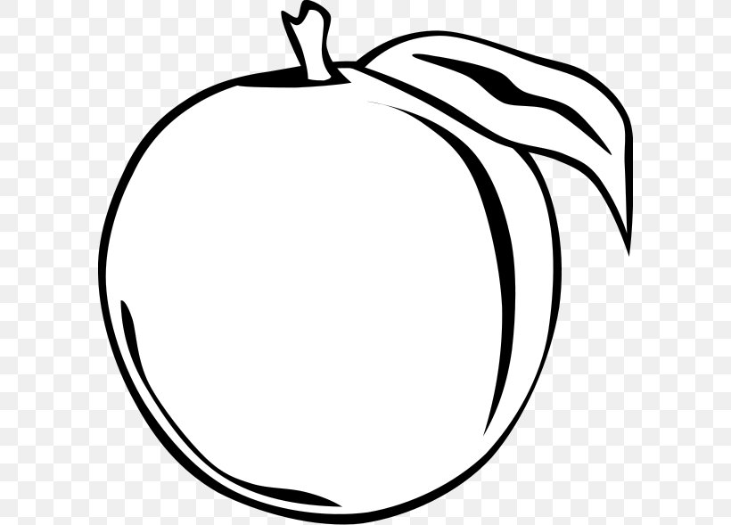 Peach Free Content Clip Art, PNG, 600x589px, Peach, Apricot, Artwork, Black, Black And White Download Free